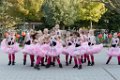 Schoolplein Festival A343